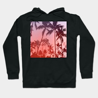 Summer 2 Hoodie